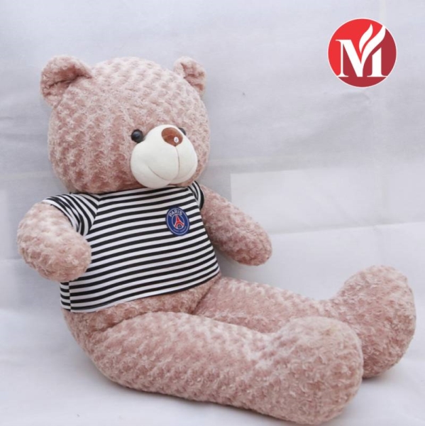 Gấu bông Teddy